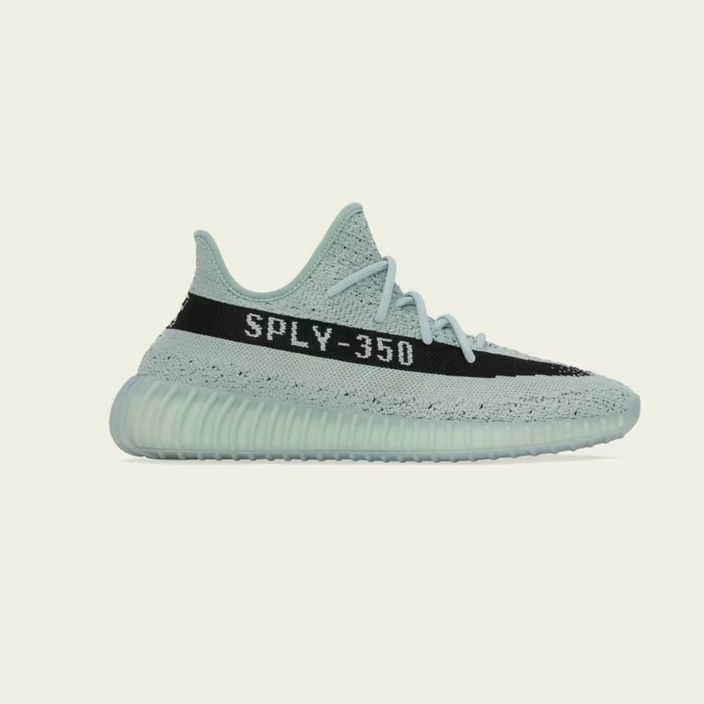 Adidas YEEZY BOOST 350 V2 in Salt HQ2060 ------------ SIZE 10M!
